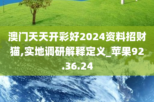 澳门天天开彩好2024资料招财猫,实地调研解释定义_苹果92.36.24