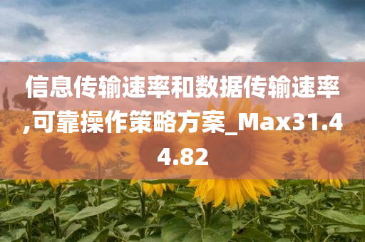 信息传输速率和数据传输速率,可靠操作策略方案_Max31.44.82