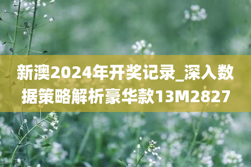 新澳2024年开奖记录_深入数据策略解析豪华款13M2827