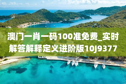 澳门一肖一码100准免费_实时解答解释定义进阶版10J9377