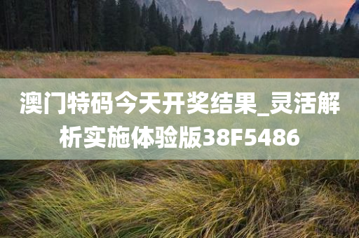 澳门特码今天开奖结果_灵活解析实施体验版38F5486