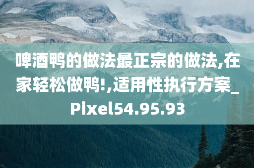 啤酒鸭的做法最正宗的做法,在家轻松做鸭!,适用性执行方案_Pixel54.95.93