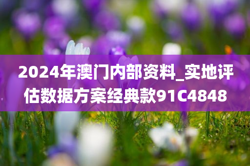 2024年澳门内部资料_实地评估数据方案经典款91C4848