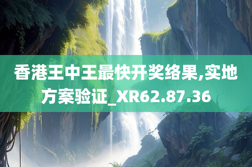 香港王中王最快开奖络果,实地方案验证_XR62.87.36