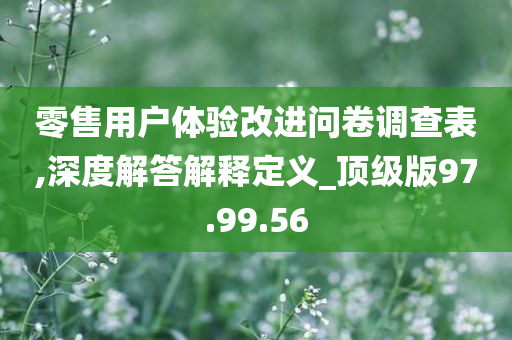 零售用户体验改进问卷调查表,深度解答解释定义_顶级版97.99.56