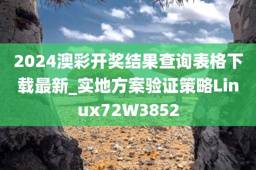 2024澳彩开奖结果查询表格下载最新_实地方案验证策略Linux72W3852