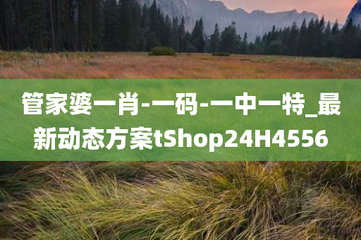 管家婆一肖-一码-一中一特_最新动态方案tShop24H4556