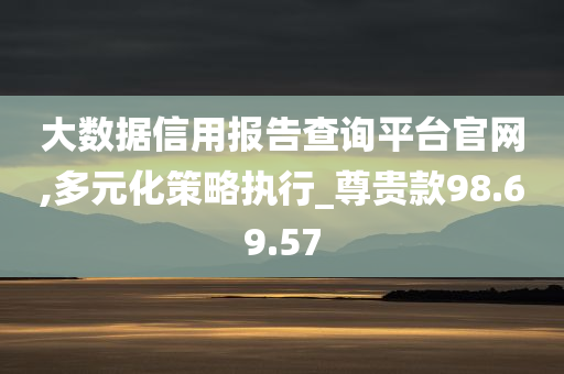 大数据信用报告查询平台官网,多元化策略执行_尊贵款98.69.57