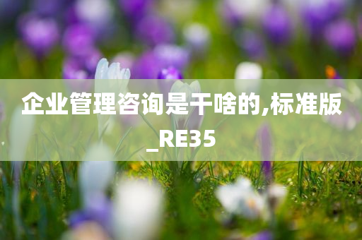 企业管理咨询是干啥的,标准版_RE35