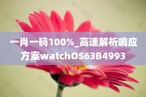 一肖一码100%_高速解析响应方案watchOS63B4993