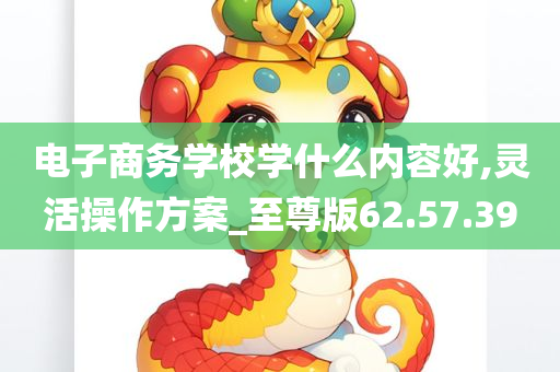 电子商务学校学什么内容好,灵活操作方案_至尊版62.57.39