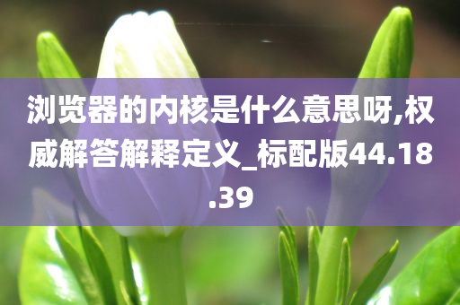 浏览器的内核是什么意思呀,权威解答解释定义_标配版44.18.39