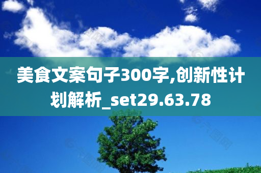 美食文案句子300字,创新性计划解析_set29.63.78