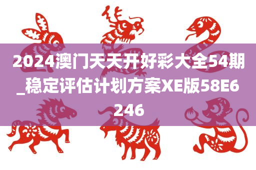 2024澳门天天开好彩大全54期_稳定评估计划方案XE版58E6246