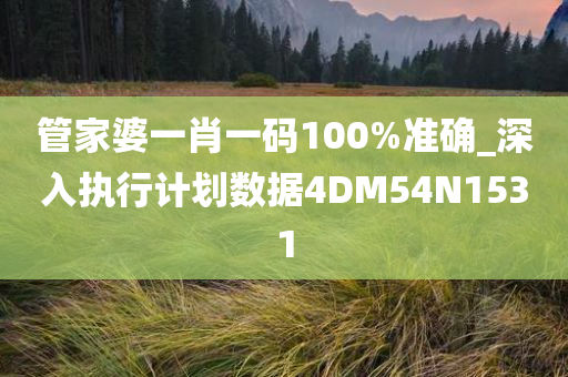 管家婆一肖一码100%准确_深入执行计划数据4DM54N1531