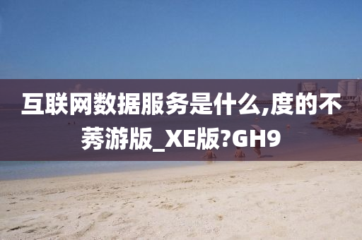 互联网数据服务是什么,度的不莠游版_XE版?GH9