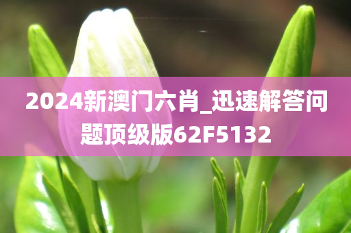 2024新澳门六肖_迅速解答问题顶级版62F5132