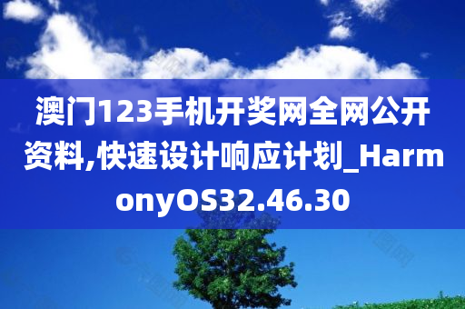 澳门123手机开奖网全网公开资料,快速设计响应计划_HarmonyOS32.46.30