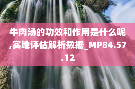 牛肉汤的功效和作用是什么呢,实地评估解析数据_MP84.57.12