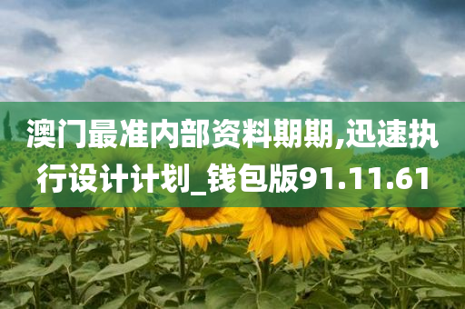 澳门最准内部资料期期,迅速执行设计计划_钱包版91.11.61