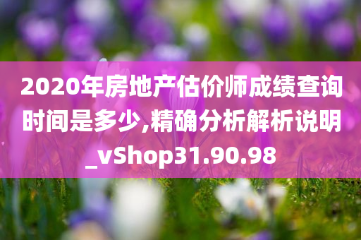 2020年房地产估价师成绩查询时间是多少,精确分析解析说明_vShop31.90.98