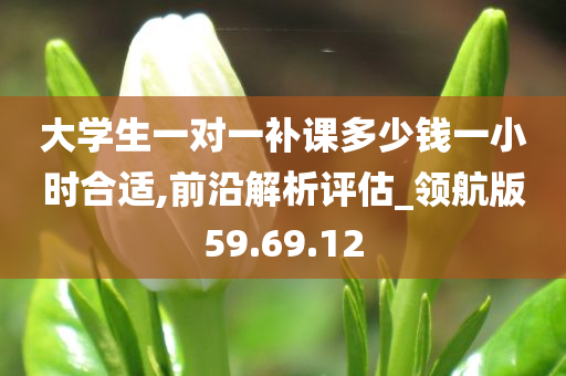 大学生一对一补课多少钱一小时合适,前沿解析评估_领航版59.69.12