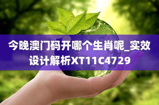 今晚澳门码开哪个生肖呢_实效设计解析XT11C4729