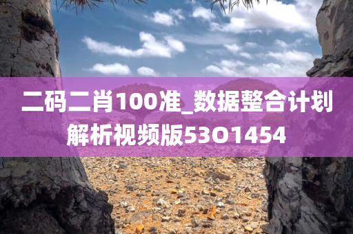 二码二肖100准_数据整合计划解析视频版53O1454