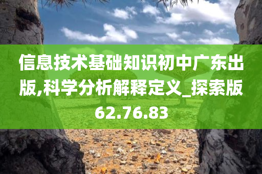 信息技术基础知识初中广东出版,科学分析解释定义_探索版62.76.83