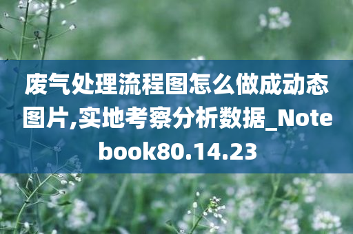 废气处理流程图怎么做成动态图片,实地考察分析数据_Notebook80.14.23