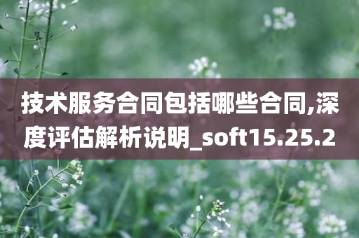 技术服务合同包括哪些合同,深度评估解析说明_soft15.25.20