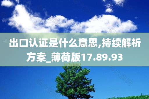 出口认证是什么意思,持续解析方案_薄荷版17.89.93