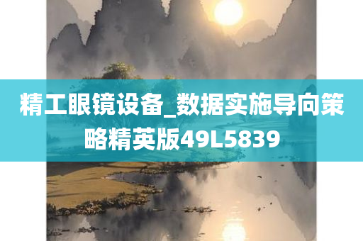 精工眼镜设备_数据实施导向策略精英版49L5839