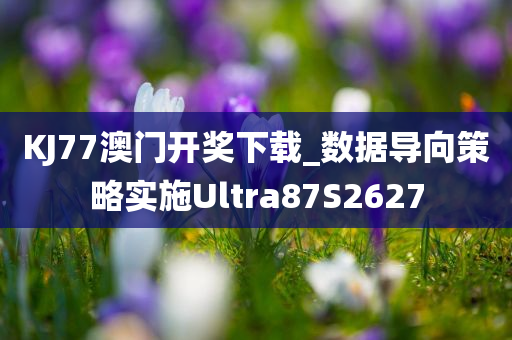 KJ77澳门开奖下载_数据导向策略实施Ultra87S2627