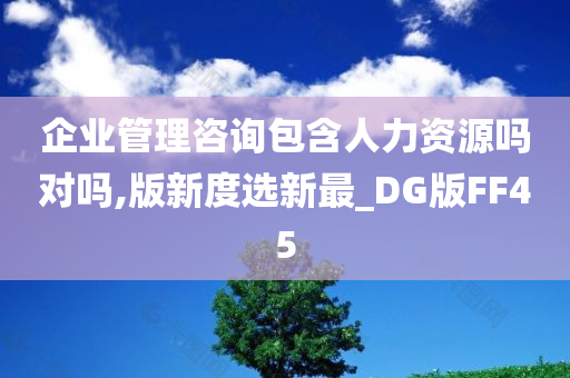 企业管理咨询包含人力资源吗对吗,版新度选新最_DG版FF45