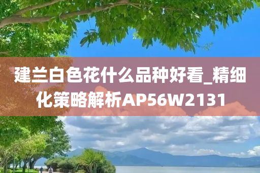 建兰白色花什么品种好看_精细化策略解析AP56W2131