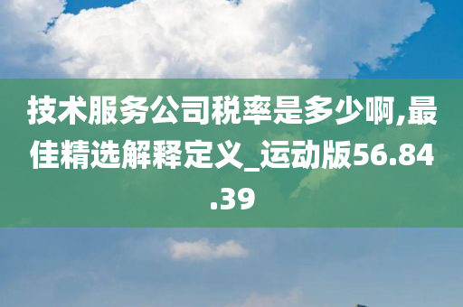 技术服务公司税率是多少啊,最佳精选解释定义_运动版56.84.39