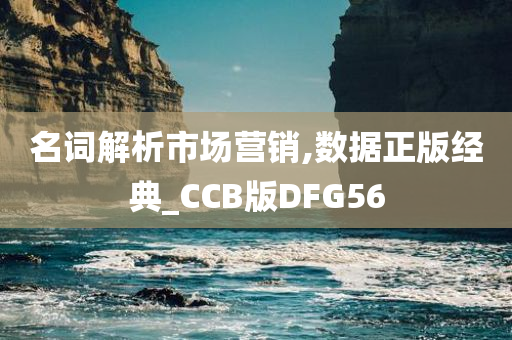 名词解析市场营销,数据正版经典_CCB版DFG56