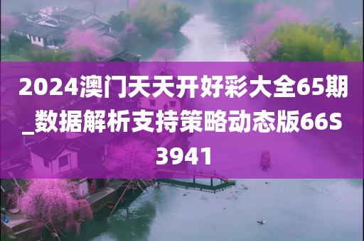 2024澳门天天开好彩大全65期_数据解析支持策略动态版66S3941