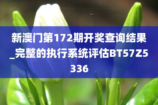 新澳门第172期开奖查询结果_完整的执行系统评估BT57Z5336