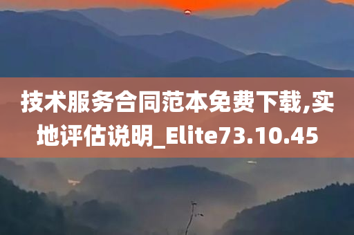 技术服务合同范本免费下载,实地评估说明_Elite73.10.45