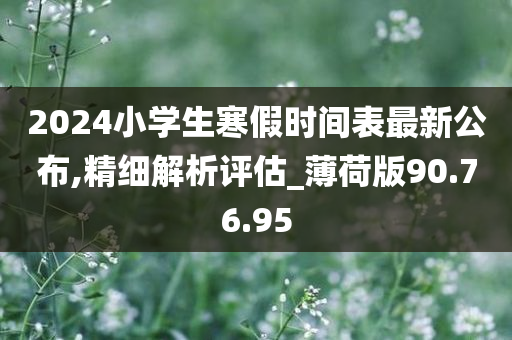 2024小学生寒假时间表最新公布,精细解析评估_薄荷版90.76.95