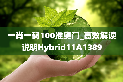 一肖一码100准奥门_高效解读说明Hybrid11A1389