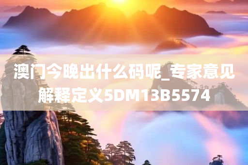 澳门今晚出什么码呢_专家意见解释定义5DM13B5574