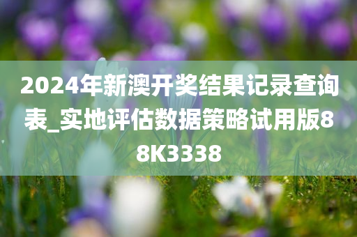 2024年新澳开奖结果记录查询表_实地评估数据策略试用版88K3338