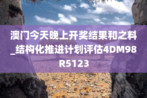 澳门今天晚上开奖结果和之料_结构化推进计划评估4DM98R5123