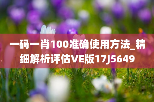 一码一肖100准确使用方法_精细解析评估VE版17J5649