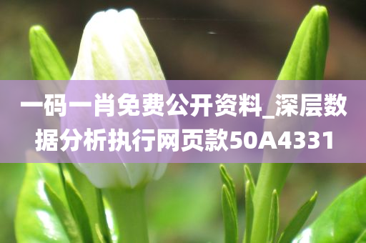 一码一肖免费公开资料_深层数据分析执行网页款50A4331