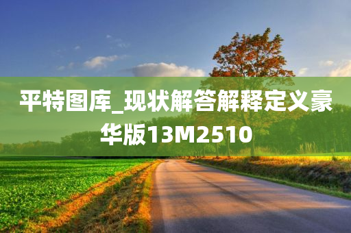 平特图库_现状解答解释定义豪华版13M2510