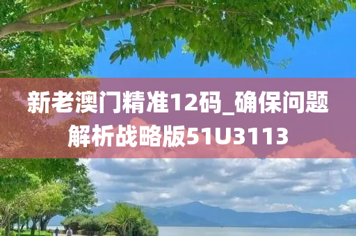 新老澳门精准12码_确保问题解析战略版51U3113